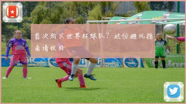 首次购买世界杯球队？这份避坑指南请收好