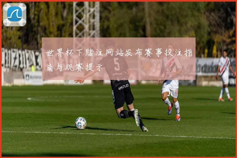 世界杯下赌注网站发布赛事投注指南与观赛提示