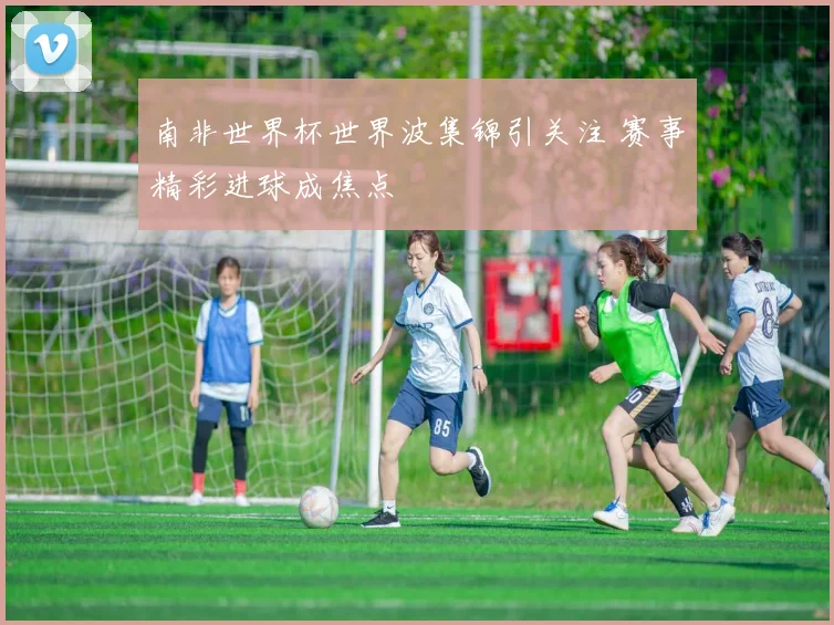 南非世界杯世界波集锦引关注 赛事精彩进球成焦点